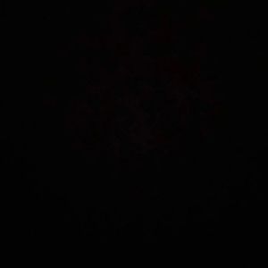 Meet your Posher, Teagan